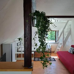  Apartment Saaler Pfandl Ferienwohnung Zentral Gelegen